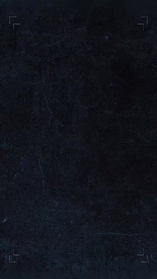 Post 6 by Olivia LaVoice on TikTok (video)