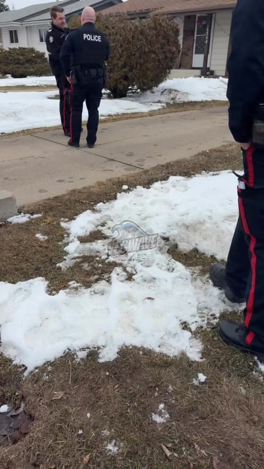 Post 2 by YEGWAVE on TikTok (video)