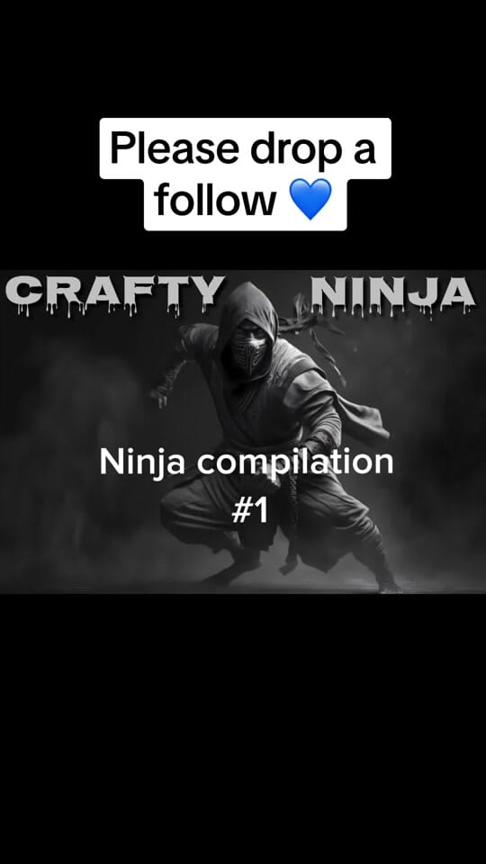 Post 10 by Crafty Ninja on TikTok (video)