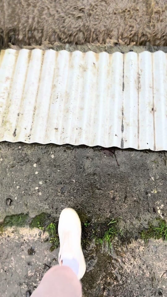 Post 8 by Davy on TikTok (video)
