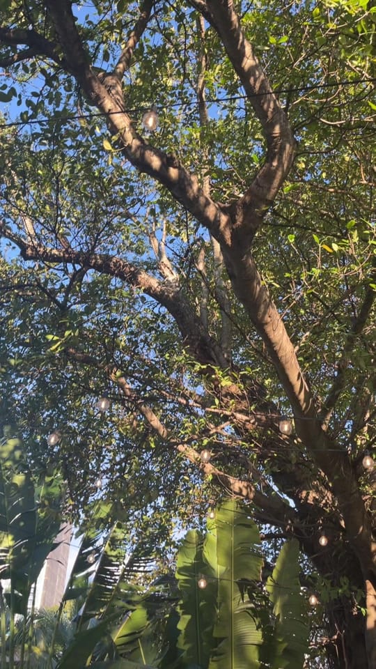 Post 4 by griffen on TikTok (video)