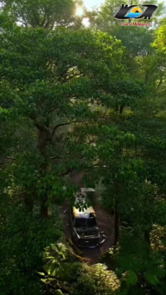 Post 2 by Banzai Multimedia on TikTok (video)
