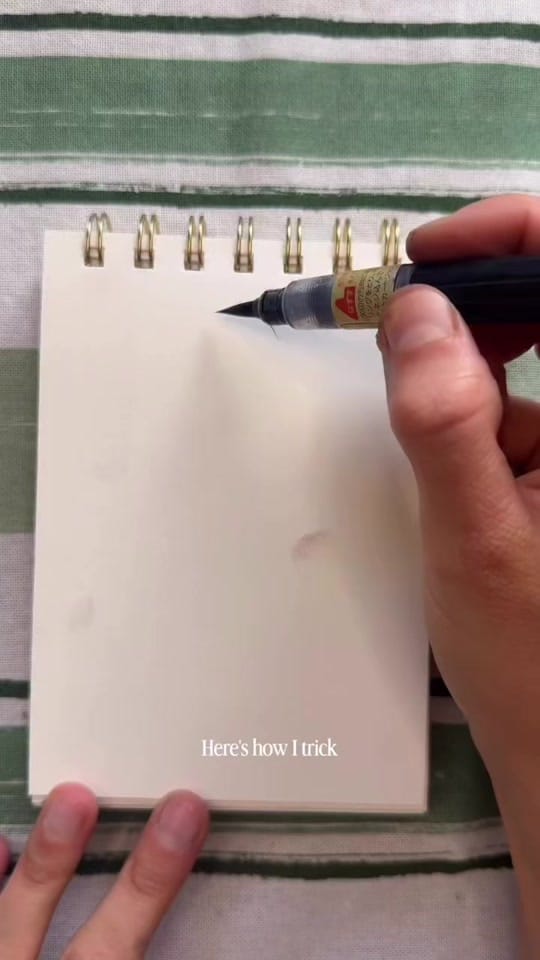Post 4 by maryanna_illustrates on TikTok (video)