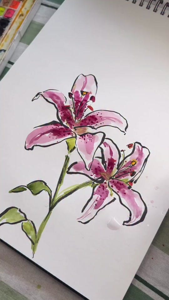 Post 1 by maryanna_illustrates on TikTok (video)