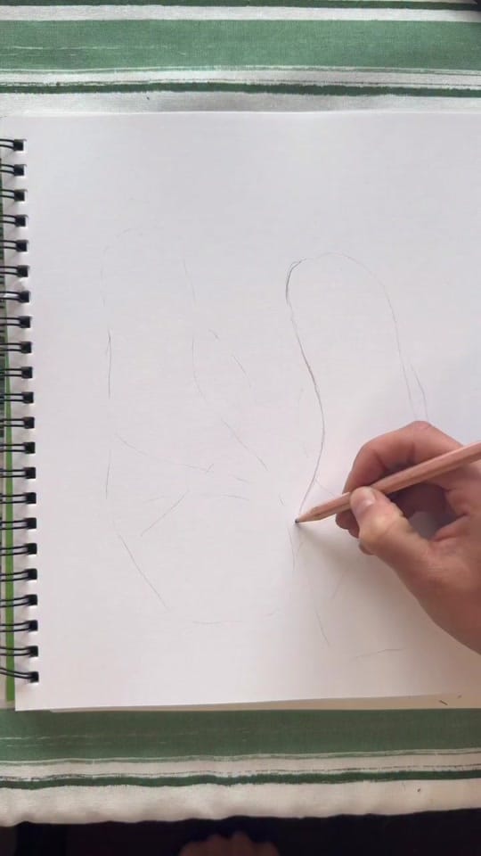Post 8 by maryanna_illustrates on TikTok (video)
