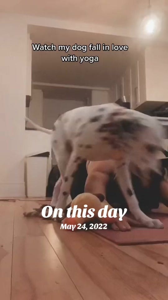 Post 3 by evaalexo on TikTok (video)