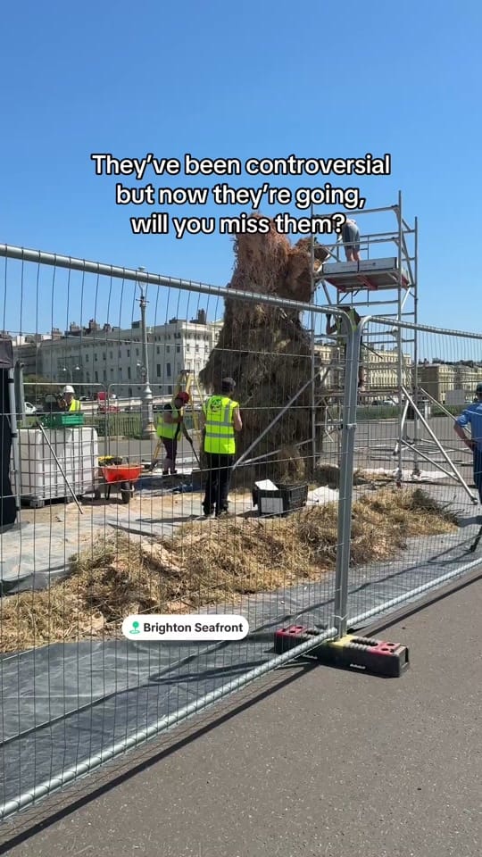 Post 7 by Brighton | News Culture Events on TikTok (video)