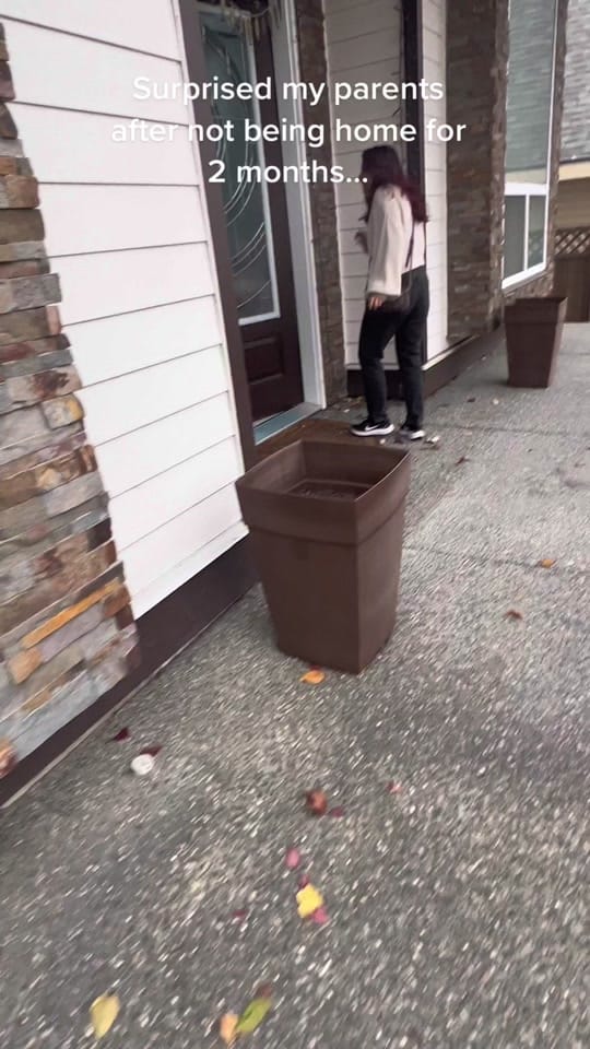 Post 5 by Soums🦋 on TikTok (video)