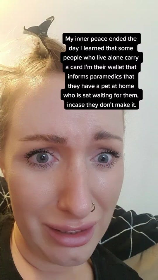 Post 8 by Danielle Catherine K on TikTok (video)