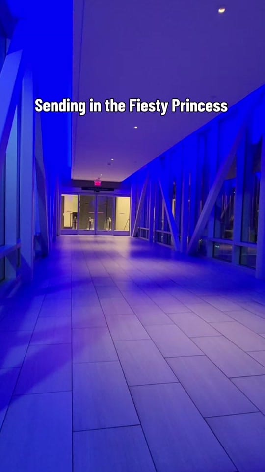 Post 5 by AllieCatCosplay on TikTok (video)