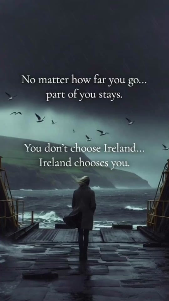 Post 6 by irishhistory68 on TikTok (video)