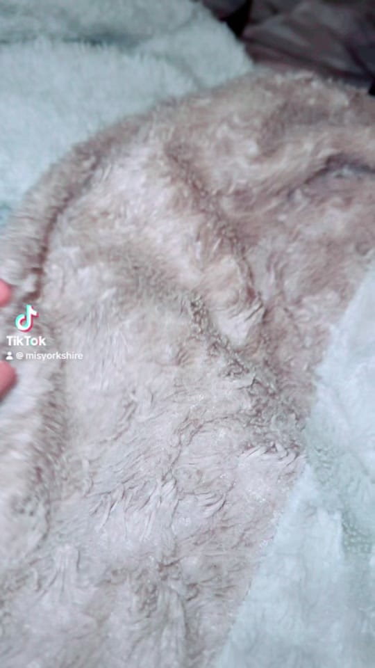 Post 10 by 👑Isa y sus mascotas 🐶🥰🐶🐶 on TikTok (video)