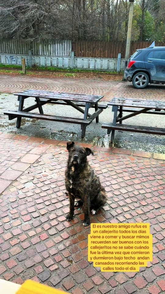 Post 5 by 👑Isa y sus mascotas 🐶🥰🐶🐶 on TikTok (video)