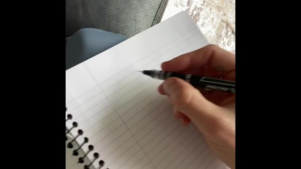 Post 1 by Gina Venier on TikTok (video)