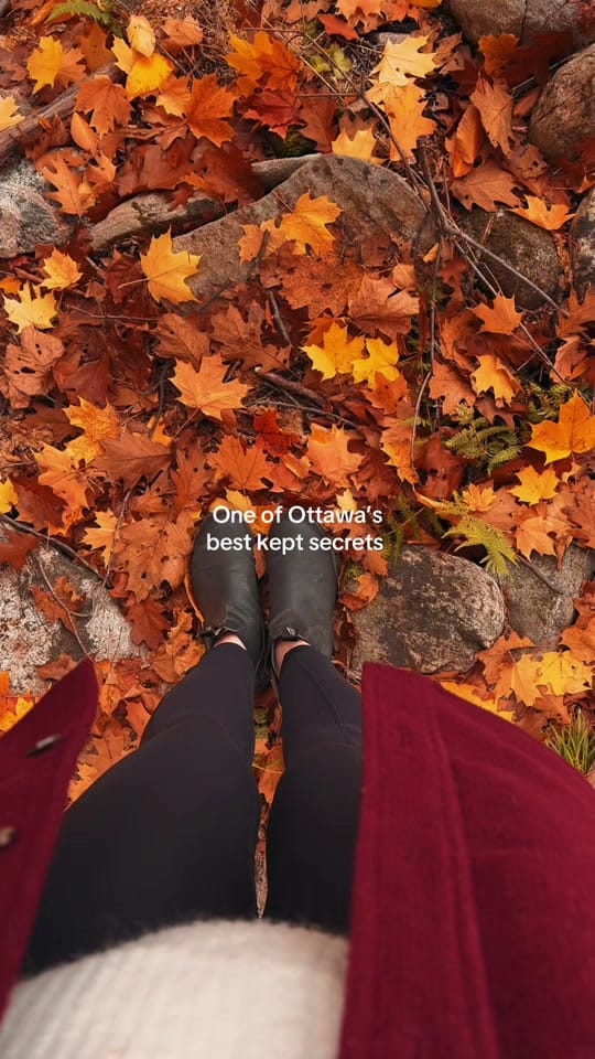Post 10 by Julia 🇨🇦 Ottawa + Travel on TikTok (video)