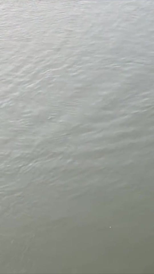 Post 10 by My Richmond on TikTok (video)