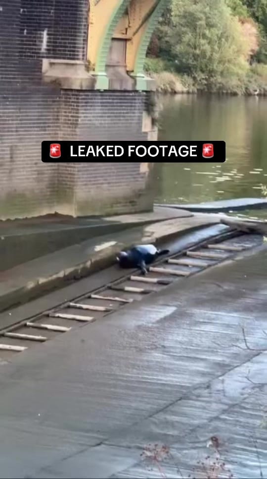Post 4 by My Richmond on TikTok (video)