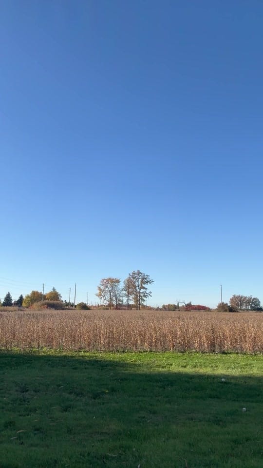 Post 9 by Dylanburkmusic on TikTok (video)