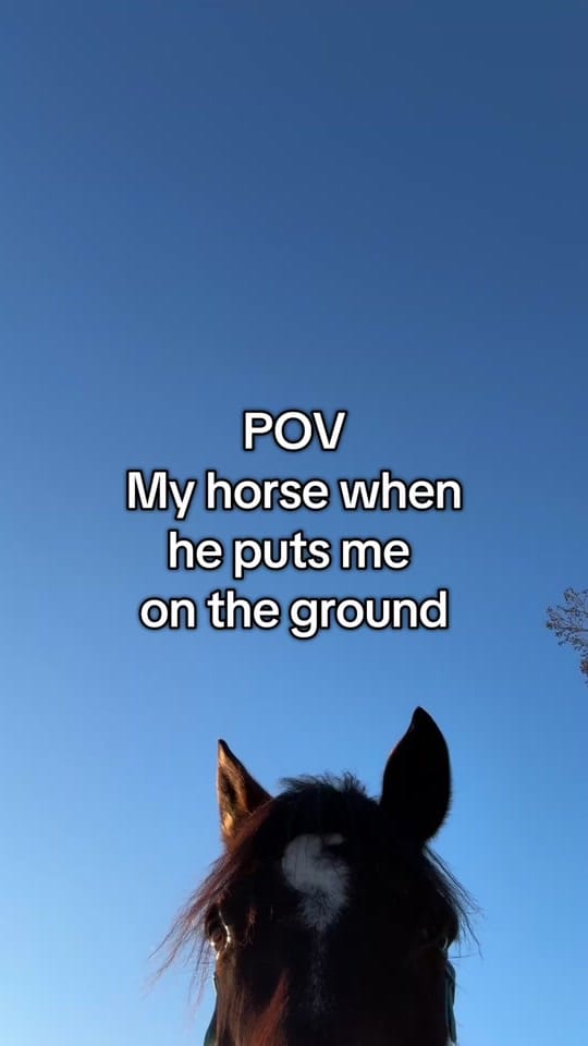 Post 9 by The SOKY Horse Girls on TikTok (video)