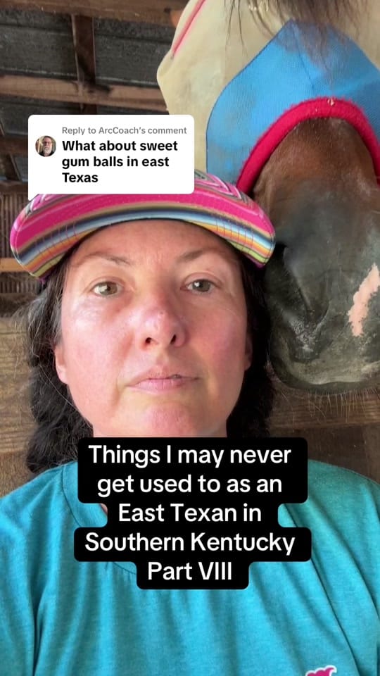 Post 4 by The SOKY Horse Girls on TikTok (video)