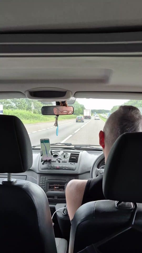 Post 7 by Shanghai Treason on TikTok (video)