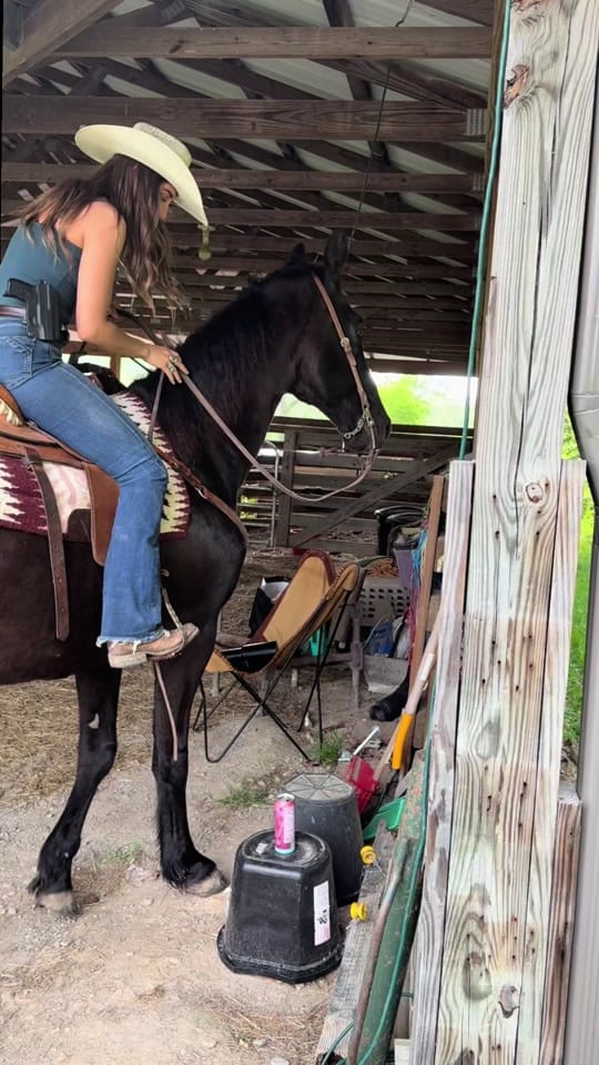 Post 9 by Bailey Shaye on TikTok (video)