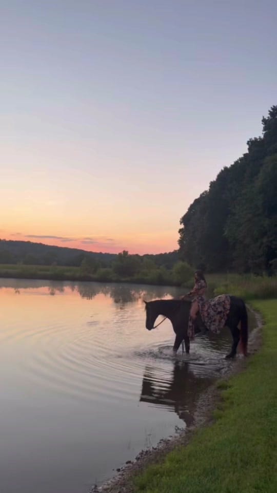 Post 10 by Bailey Shaye on TikTok (video)
