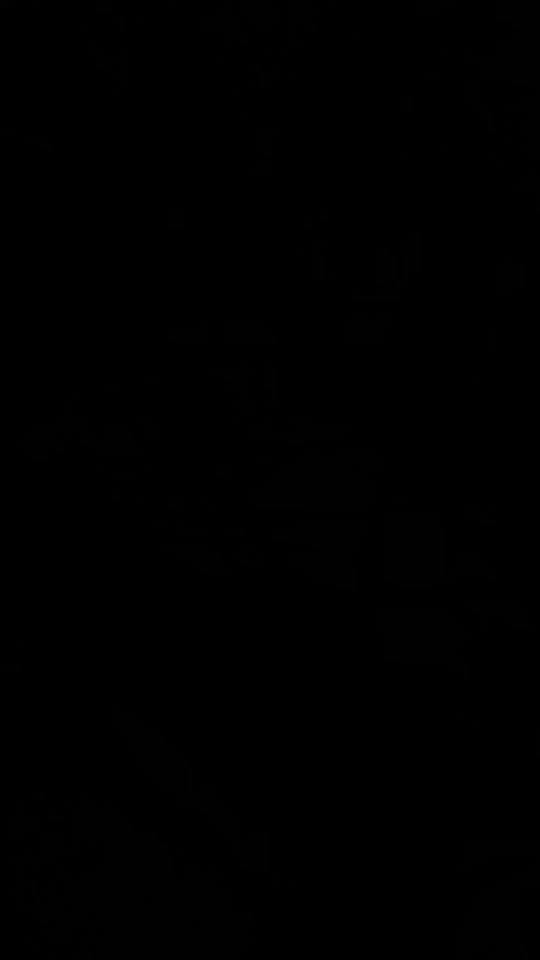 Post 4 by Abreuvoir Montreal on TikTok (video)