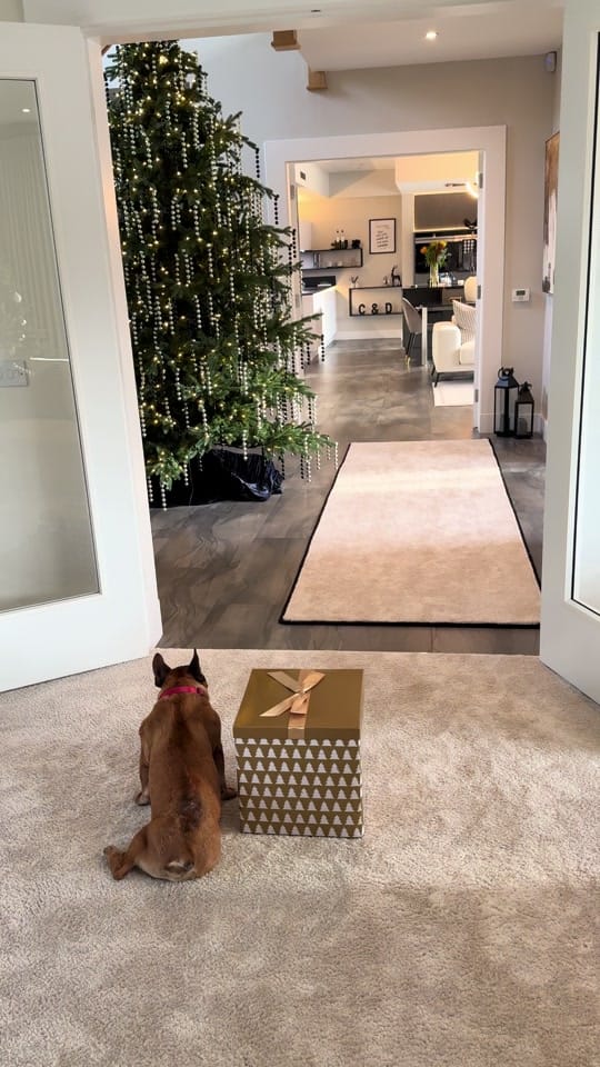 Post 8 by courtneycrawford___ on TikTok (video)