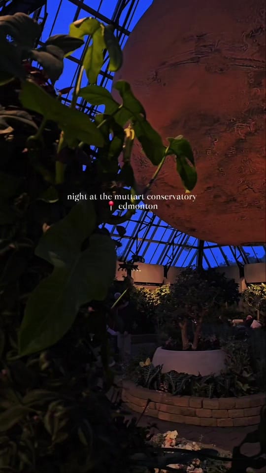Post 8 by natalia | YYZ | YEG on TikTok (video)