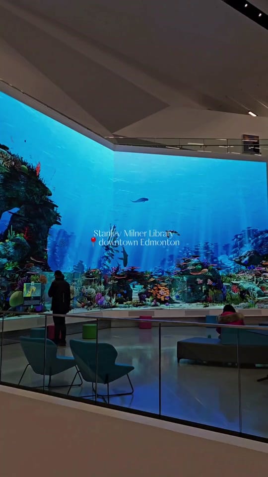 Post 10 by natalia | YYZ | YEG on TikTok (video)