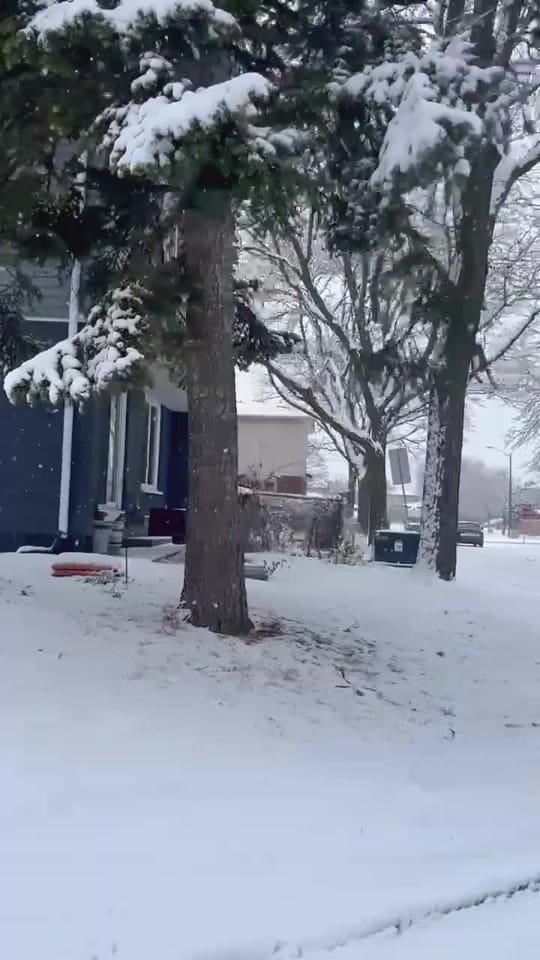 Post 7 by Canada Beauty Explorer🇨🇦 on TikTok (video)