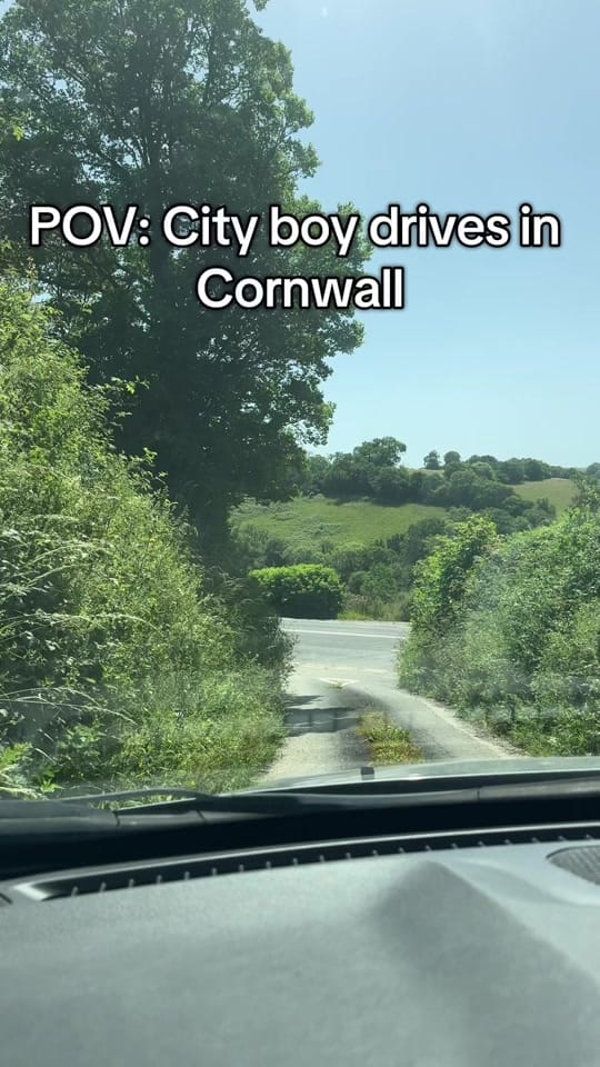 Post 5 by Bizzy on TikTok (video)