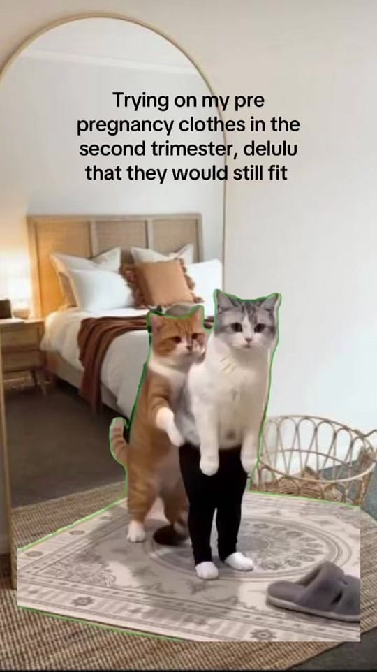Post 7 by EmsyChar on TikTok (video)