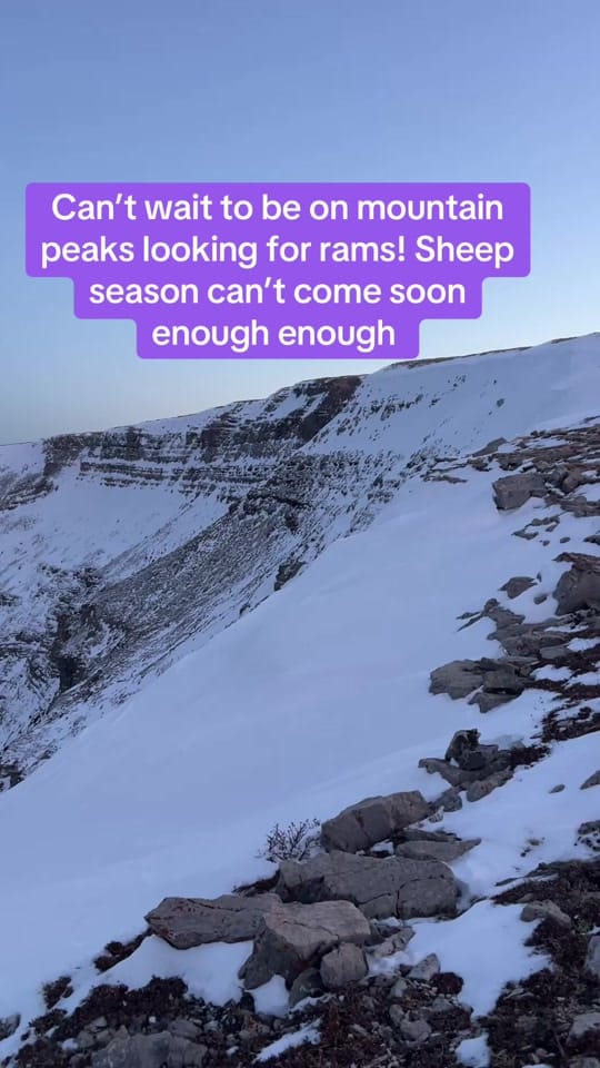 Post 7 by mountaingirl_52 on TikTok (video)