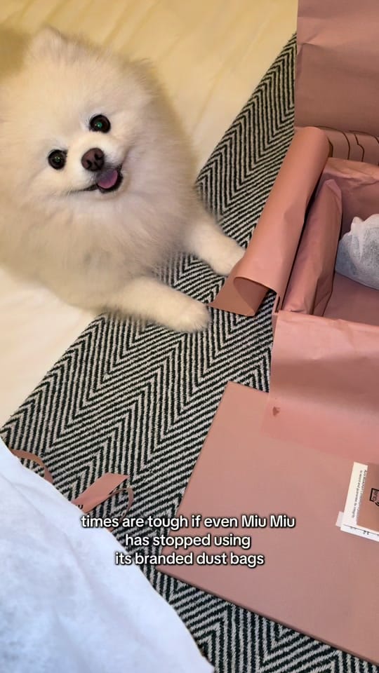Post 6 by Camilla on TikTok (video)