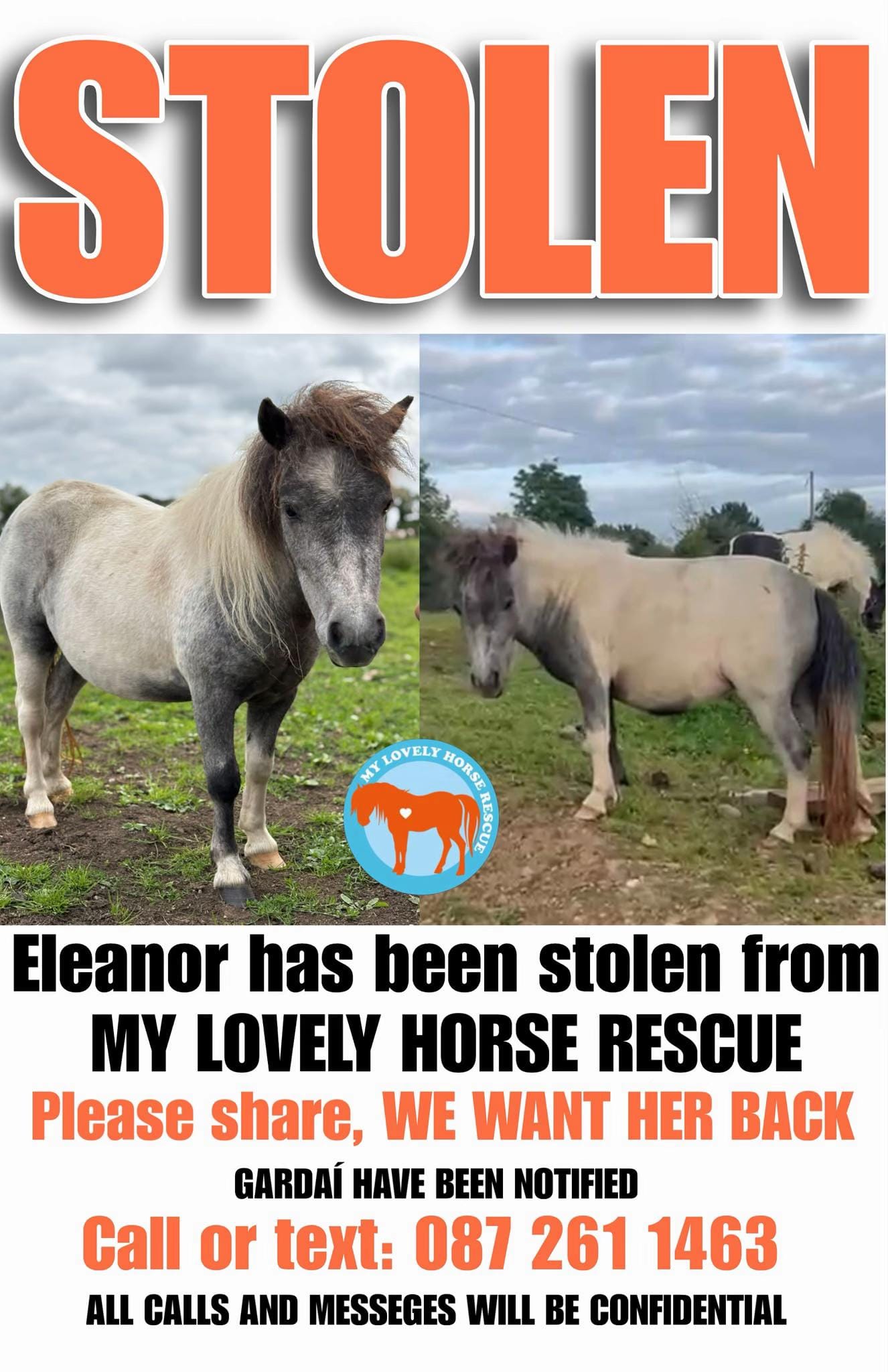 Post 7 by My Lovely Horse Rescue on TikTok (video)