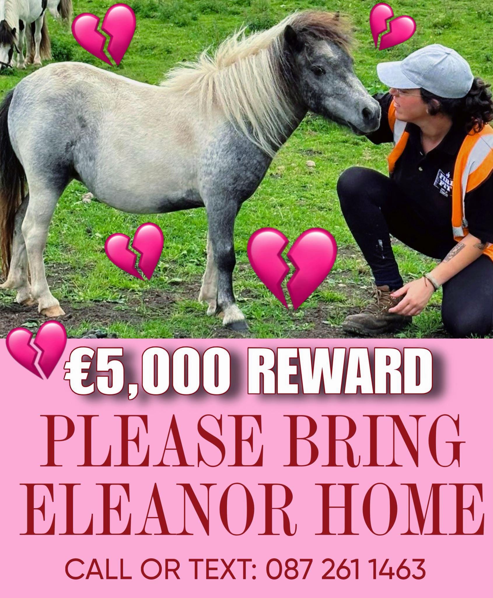 Post 1 by My Lovely Horse Rescue on TikTok (video)