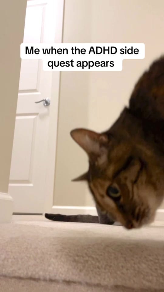 Post 4 by rolyposey 🇨🇦 on TikTok (video)