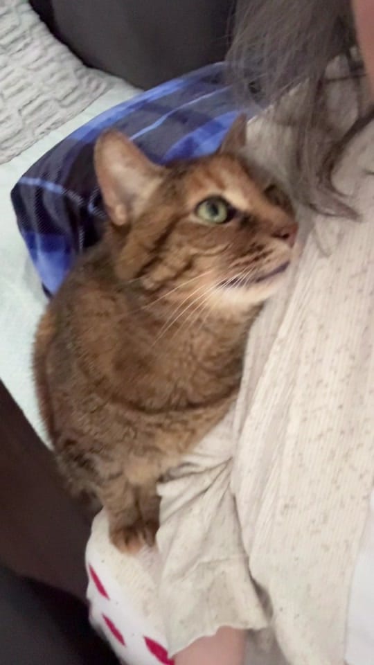 Post 6 by rolyposey 🇨🇦 on TikTok (video)