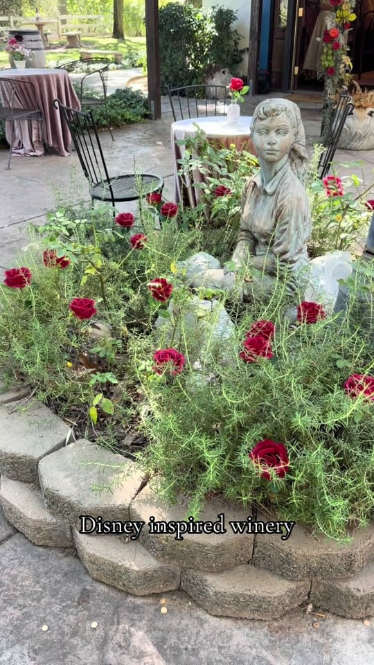 Post 5 by Laura Wright on TikTok (video)
