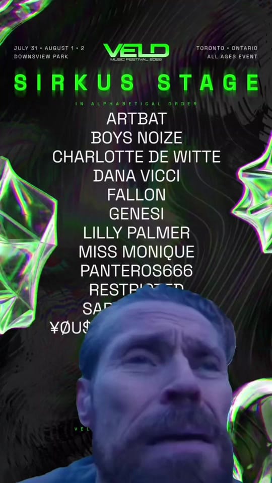 Post 4 by Veld Music Festival on TikTok (video)