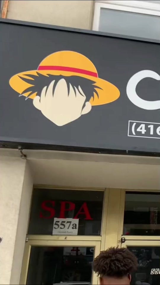 Post 10 by Crave Wings | Anime Wing Shop on TikTok (video)