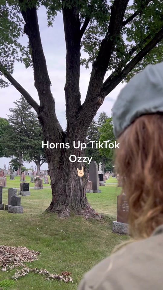 Post 3 by 💀🔱 Ripper 🔱💀 on TikTok (video)