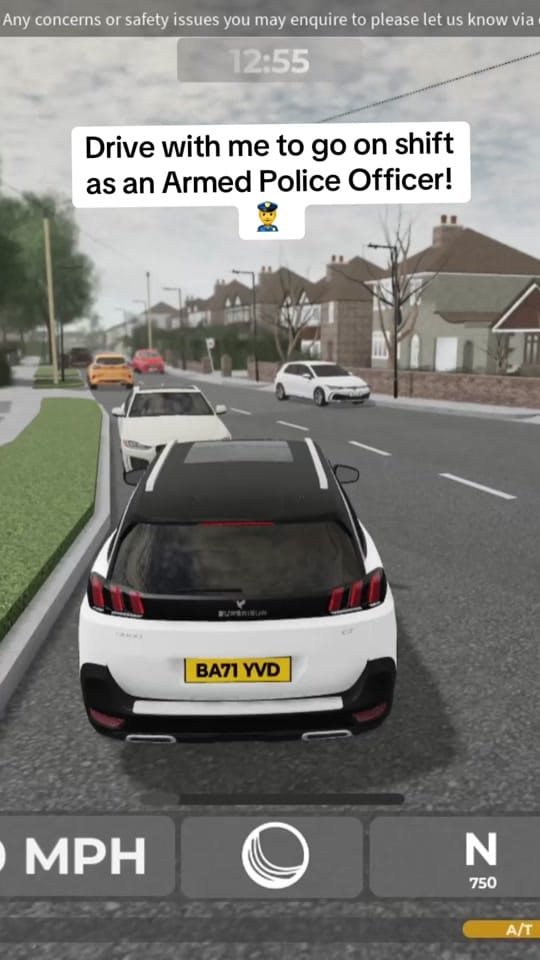 Post 3 by Sheffield Roblox on TikTok (video)