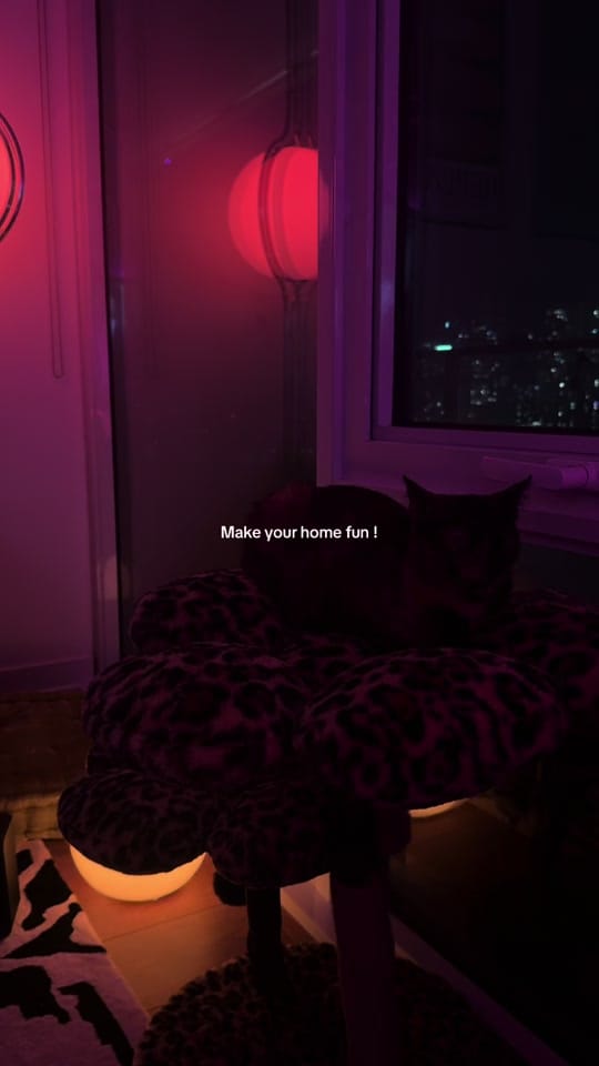 Post 6 by Drew Menz on TikTok (video)