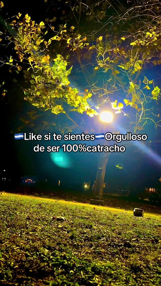 Post 7 by Danny 🇧🇷🇭🇳🇺🇸 on TikTok (video)