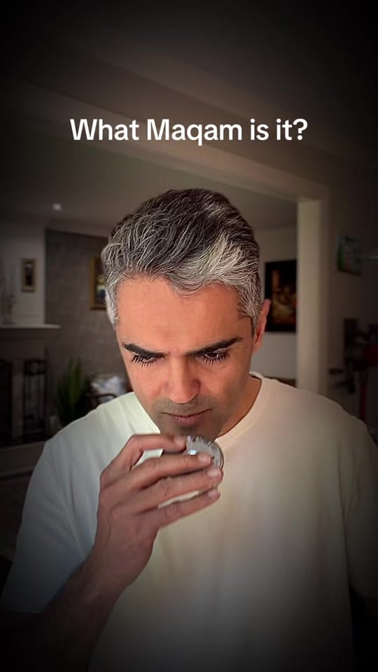 Post 7 by habib0hoseini on TikTok (video)