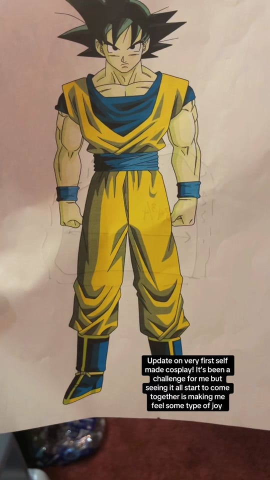 Post 3 by acroaddictcosplays on TikTok (video)