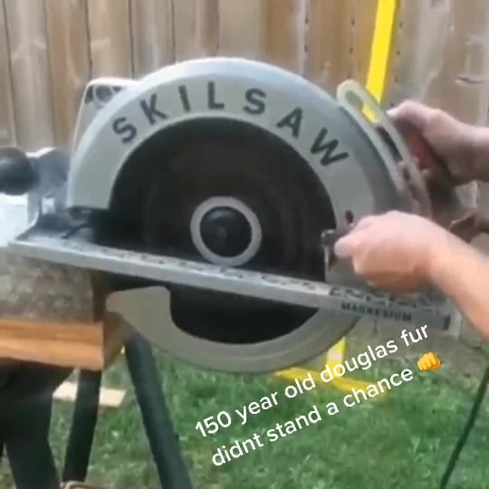 Post 6 by Greenlee const on TikTok (video)